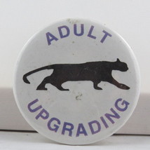 Vintage School Pin - Adult Upgrading - Celluloid Pin - $15.00