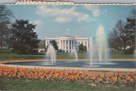 ZAYIX Postcard White House and Grounds Washington DC Plastichrome 090222PC08 - £3.15 GBP