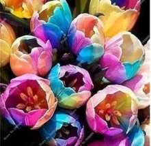 Goodidea 100PCS Tulips Seeds - Colorful Flowers - £5.56 GBP