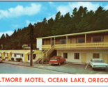 Biltmore Motel Oceano Lago Oregon O Unp Cromo Cartolina N6 - $12.24