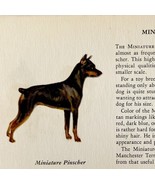 Miniature Pinscher 1939 Dog Toy Breed Art Ole Larsen Color Plate Print P... - €25,68 EUR