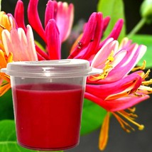 Japanese Honeysuckle Scented Soy Wax Candle Melts Shot Pots, Vegan, Hand Poured - £12.78 GBP+