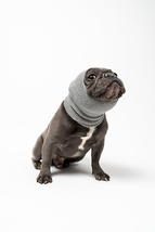 Pet Hoodz Comfort &amp; Anxiety-Relief Hoodies for Dogs - £19.32 GBP+