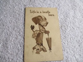 Life is a Bustle here 1914 Dog pet Humor Postcard Posted - £27.23 GBP