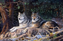Giclee Art Wall art Two wolves Oil painting Picture HD printed on canvas - £9.02 GBP+