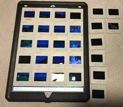 Vtg 1965 35mm Slides Lot of  28 North California Family People  United S... - $57.82