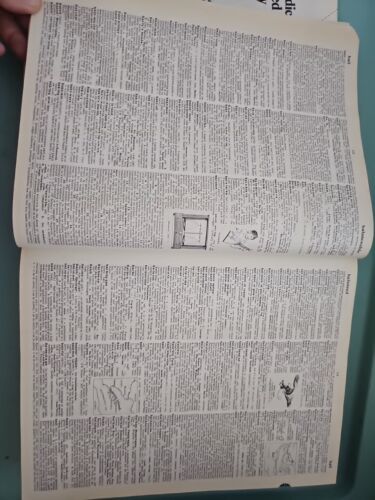 Webster's Encyclopedic Unabridged Dictionary of the English Language Large Item image 12