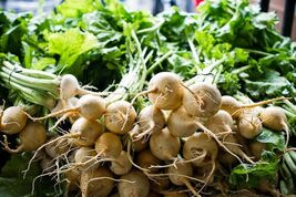 White Albino Beet Seeds, Holland Heirloom, NON-GMO, Variety Sizes, FREE ... - €1,29 EUR+