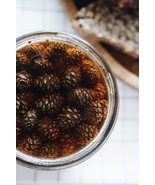Homemade natural pine cone jam from Ukraine - $35.99