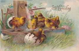 Easter Greeting Chicks Playing in Water 1909 Phillip Nebraska Postcard D49 - £2.35 GBP