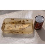 Martha Sturdy Suspendu Doré Feuille Résine Canada Rectangle Bowl Dish Pl... - $16,817.23 MXN