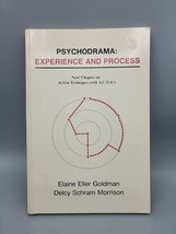 Psychodrama: Experience &amp; Process &amp; Action Techniques With A.C.O.A.s Pap... - £30.48 GBP