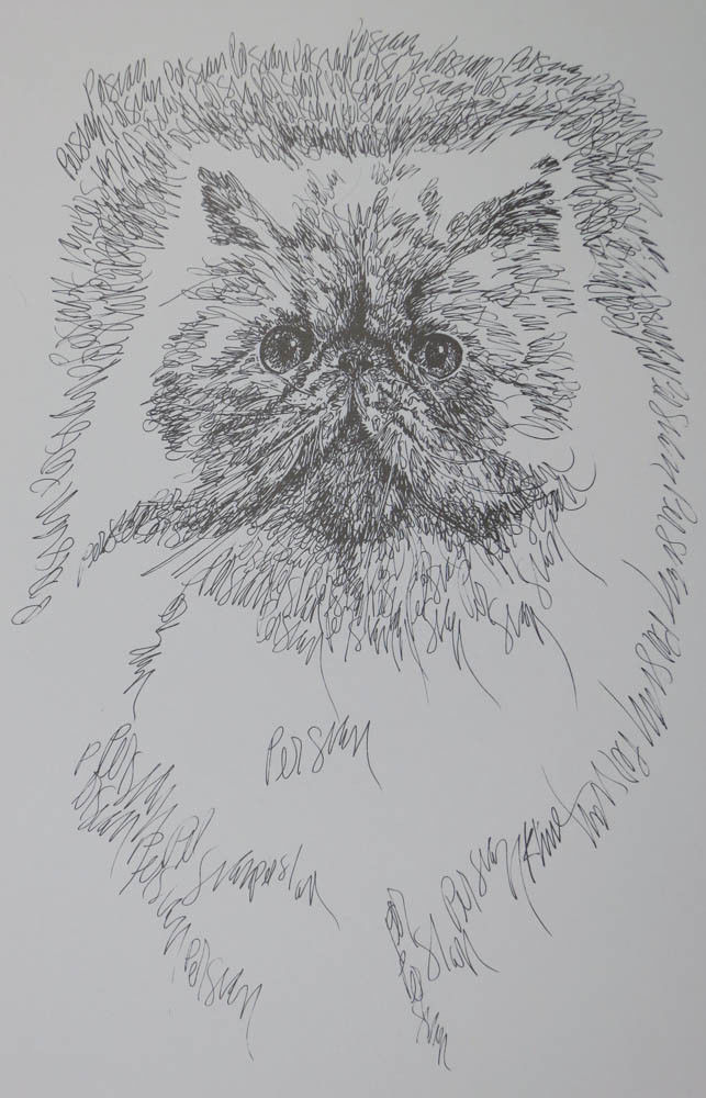 Persian Cat Art Print Lithograph #93 Stephen Kline adds your cats name free GIFT