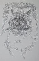 Persian Cat Art Print Lithograph #93 Stephen Kline adds your cats name f... - £39.24 GBP