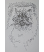 Persian Cat Art Print Lithograph #93 Stephen Kline adds your cats name free GIFT - $49.95
