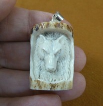 (j-wolf-80) White WOLF head in log frame aceh bovine bone carving Wolves... - £12.32 GBP