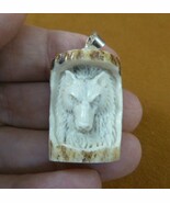 (j-wolf-80) White WOLF head in log frame aceh bovine bone carving Wolves... - $21.15 CAD