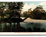 French Creek View Cambridge Springs Pennsylvania PA DB Postcard U19 - $2.63