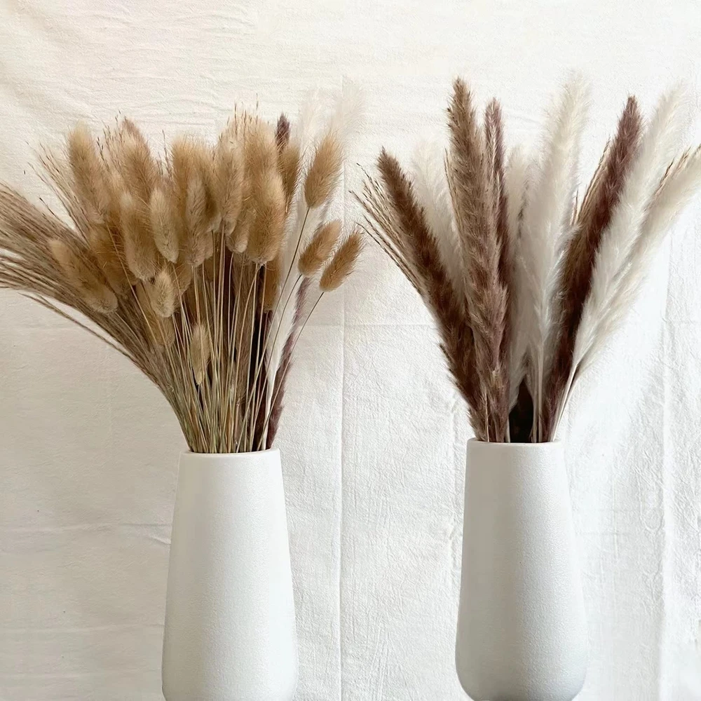 House Home 100Pcs/lot A Pampas GrA Fluffy Room Phragmites Decoration Natural Bun - £31.17 GBP