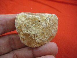 (k-3302) 25 g Rare Kauri tree Gum copal young Amber New Zealand Tane Mahuta - $21.59