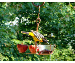 Oriole Feeder Fruit and Jelly Feeder Copper, Made In USA, Oriole NEW - $35.89