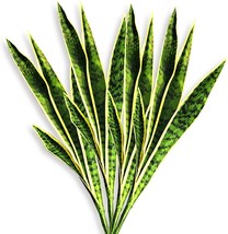 Artificial Snake Plant 4 Pcs 30 Inch Fake Sansevieria Plants for Indoor Outdoor  - £54.82 GBP