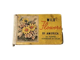 Vintage WILDFLOWERS Of AMERICA by Jane Harvey - Pocket Sized 1932 - $10.00