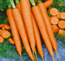 SR Tendersweet Carrot Seeds 1000 Vegetable Garden Non GMO USA Seller - £6.92 GBP