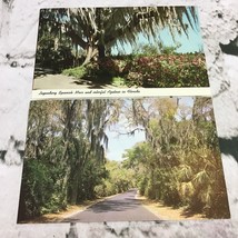 Postcard Lot Of 2 Collectible Vintage Spanish Moss Azalea’s In Florida - £7.83 GBP