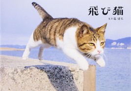 &quot;TOBI-NEKO&quot; Cat jump Japanese Photo book - £23.57 GBP