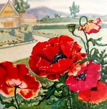Poppy Lithograph 1920 Flower Print Myron Van Brunt Floral Garden Art DWDD16 - £39.17 GBP