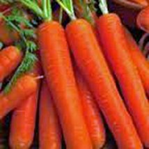 Carrot, Scarlet Nantes, Heirloom, Organic 500 Seeds, Tasty Carrot for Snacks - £11.67 GBP