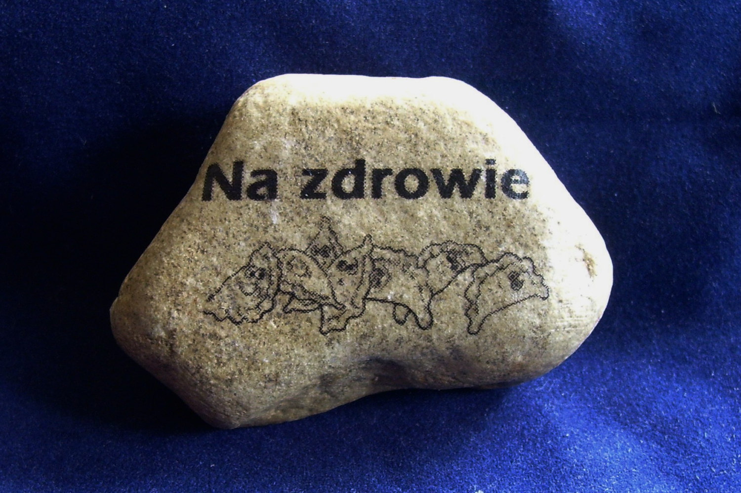 Na zdrowie polish gift rock Cheers to your health Stone OOAK funny unique Polish