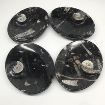 4pcs,6.25&quot;x4.75&quot;x5mm Oval Fossils Orthoceras Ammonite Bowls Dishes,Black, MF1377 - £28.77 GBP