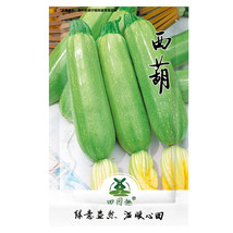 25 pcs Summer Zucchini Squash Seeds | Heirloom &amp; Non-GMO | Fresh Vegetable Seeds - £3.95 GBP