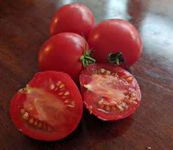 Arkansas Traveler Tomato Seeds Bulk 300 Count Meaty Juicy Fruits Fresh Garden - £10.18 GBP