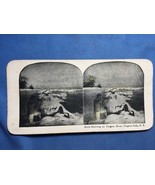 Vintage Antique Original Niagara Falls Stereoview Photo - DUCK HUNTING S... - £16.22 GBP