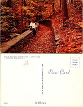 New York(NY) Letchworth State Park Trails Lady w/ Dog Autumn Fall VTG Postcard - £7.37 GBP