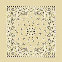 Carolina Creative Bandanna (Beige) Paisley Print 22&quot; x 22&quot; Hav-A-Hank - £5.65 GBP