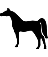 Arabian Horse Equine Decal Black Silhouette Profile Sticker on a Clear B... - $5.00