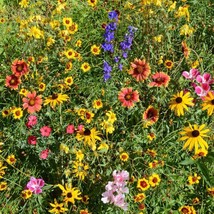 Mountain Wildflower Mix Seeds, 19 Stunning and Beautiful Species, FREE SHIPPING - £1.30 GBP+