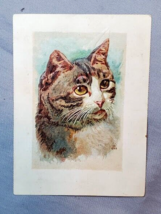 Cat Victorian 1890s Piano Trade Card Wm Knabe &amp; CO Munson &amp; Sons Zanesvi... - $9.85