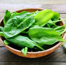 Spinach Lorelay - 50+ seeds - L 177 - $2.49