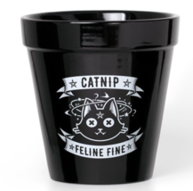 Alchemy Gothic Black Catnip High Cat Plant Pot Kitchenware Baking GPP3 Potter - £14.90 GBP