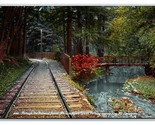 Mt Tamalpais Scenic Railway Through Redwoods California CA UNP DB Postca... - $7.87