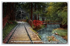 Mt Tamalpais Scenic Railway Through Redwoods California CA UNP DB Postcard W12 - £6.19 GBP