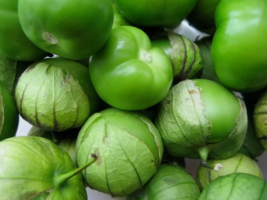 VN 50 Seedsgrande Rio Verde Tomatillo, Nongmo Garden Seeds - $7.99