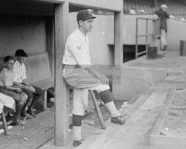 BUCKY HARRIS IN THE DUGOUT WASHINGTON SENATORS SECOND BASEMAN 8X10 PHOTO - $11.32