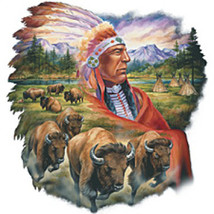 Chief &amp; Buffalo Cross Stitch Pattern***L@@K*** - $2.95