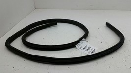 2010 Chevy Cobalt On Body Door Jamb Seal Gasket Front Right Passenger 2009Ins... - £33.77 GBP